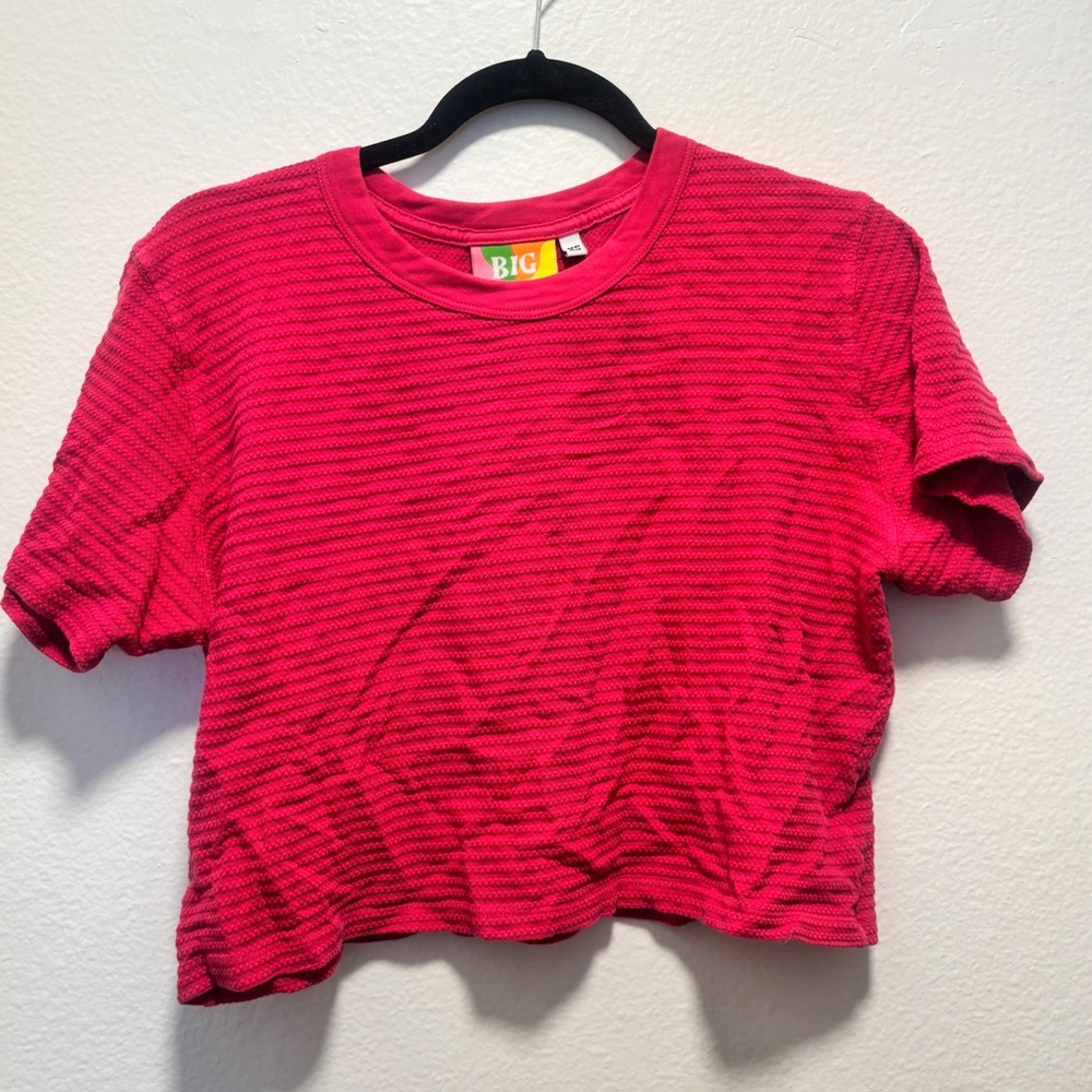 Pink Striped Crop Top